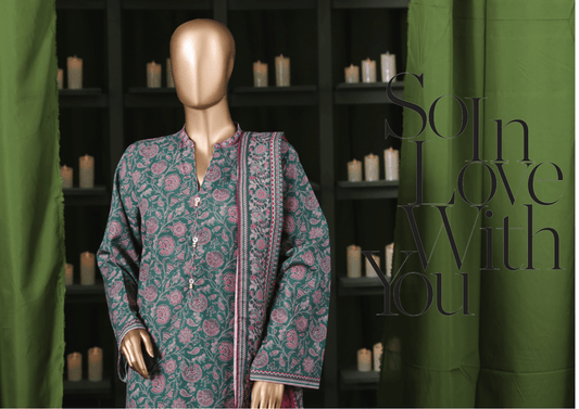 Binsaeed 3 Piece Khaddar Stitch